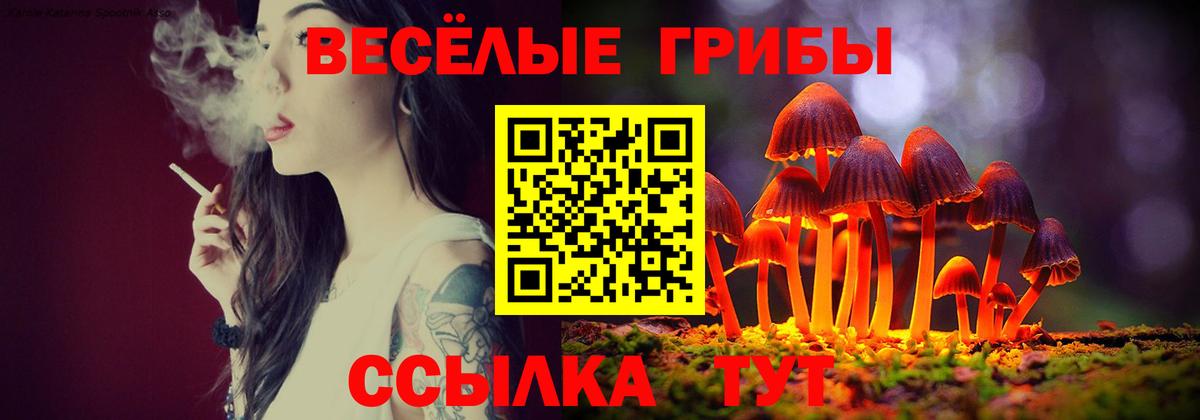 Ноябрьск  Псилоцибиновые грибы мицелий  что такое   Вход с VPN 